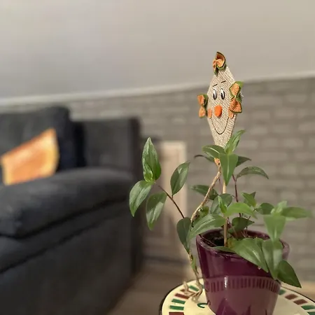 アパート Am Sonnenblick