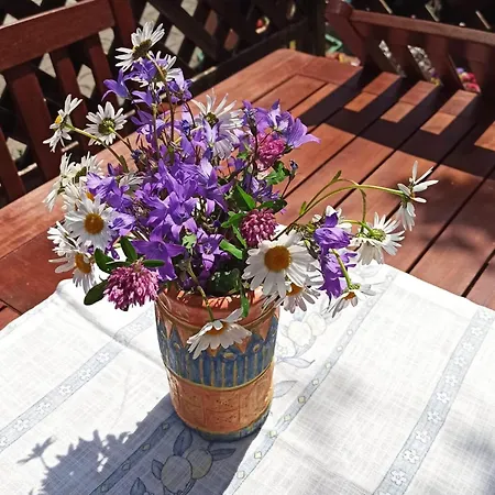 Am Sonnenblick * Werda