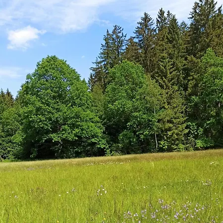 Am Sonnenblick Apartment