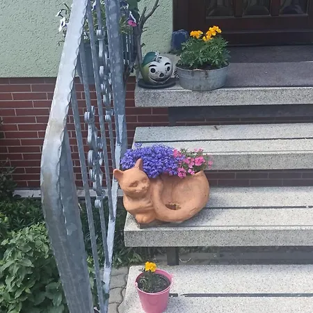 Am Sonnenblick Apartment Werda